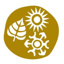 Chanakya University logo